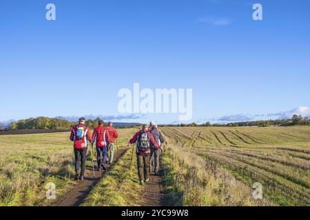 Des hommes qui marchent sur un chemin de terre le long des champs Banque D'Images