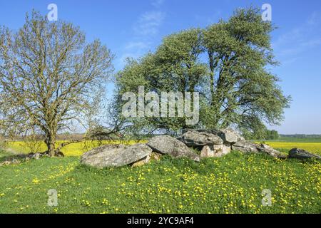 Passage tombe sur une colline dans un paysage d'été en milieu rural Banque D'Images