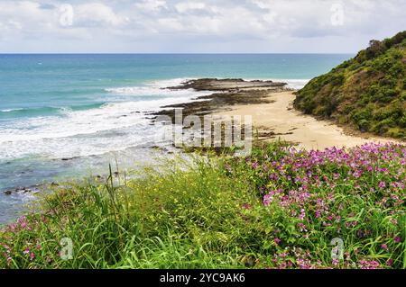 Vue de Devil's Elbow entre Fairhaven et Lorne sur la Great Ocean Road, Eastern View, Victoria, Australie, Océanie Banque D'Images