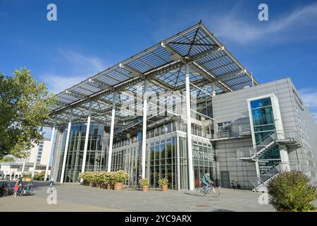 Kunstmuseum, Hollerplatz, Wolfsburg, basse-Saxe, Allemagne, Niedersachsen, Deutschland Banque D'Images