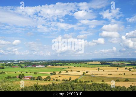 Surface cultivée avec fermes et champs d'une vue aérienne Banque D'Images