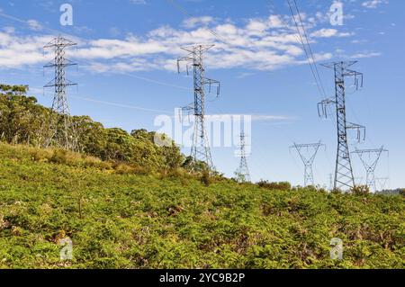 Lignes électriques à haute tension entre Mansfield et Whitfield, Whitlands, Victoria, Australie, Océanie Banque D'Images