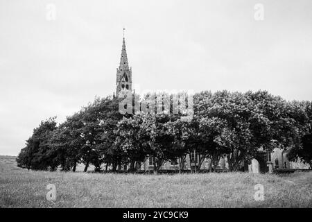 France, Ploéven, 2024-08-12. Clocher de la chapelle de Sainte Anne la Palud au milieu des arbres. Photographie de Franck CHAPOLARD. Banque D'Images