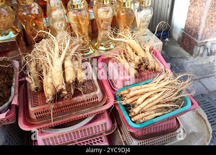 Ginseng frais dans le marché de rue coréen. Vente de racines de ginseng sur un marché en Corée du Sud. Le commerce de rue de la médecine traditionnelle asiatique Banque D'Images