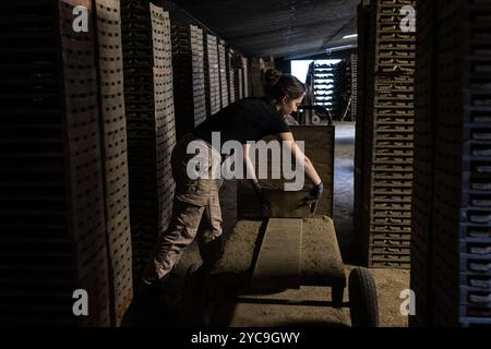 Soulaines-Dhuys (nord-est de la France) : travail de l'argile dans la poterie Royer et la tuile Factory suivant des techniques ancestrales depuis 6 générations, maki Banque D'Images