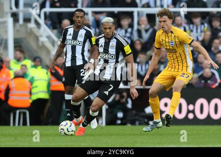 Joelinton of Newcastle United - Newcastle United v Brighton & Hove Albion, premier League, St James' Park, Newcastle upon Tyne, Royaume-Uni - 19 octobre 2024 usage éditorial exclusif - des restrictions de DataCo s'appliquent Banque D'Images