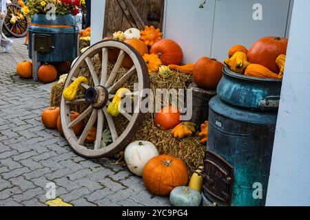 Une brouette pleine de citrouilles et de courges est assise sur le trottoir. Les citrouilles sont dispersées autour de la brouette et du sol Banque D'Images