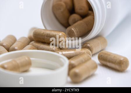 Capsules de phytothérapie se répandant d'une bouteille blanche sur une surface blanche Banque D'Images