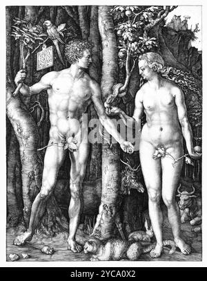 Albrecht Dürer, Adam and Eve, 1504, gravure - Art religieux - Adam et Eve debout de chaque côté de l'arbre de la connaissance avec le serpent - couleur corrigée Banque D'Images