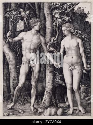 Albrecht Dürer, Adam and Eve, 1504, gravure - Art religieux - Adam et Eve debout de chaque côté de l'arbre de la connaissance avec le serpent Banque D'Images