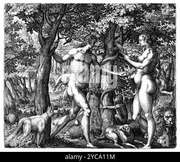 Robert Boissard - Adam et Eve, impression, gravure, fin des années 1500 - couleur corrigée Banque D'Images