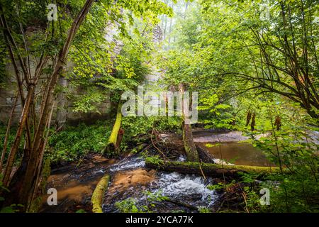 Ruines de l'ancien moulin à papier dans la réserve naturelle Czartowe Pole. Un ruisseau cristallin dans la forêt Banque D'Images