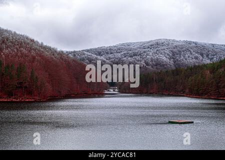 Un lac gelé, entouré de deux forêts de couleurs différentes, dans une ville en Roumanie appelée Valiug Banque D'Images
