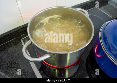 Vue de dessus d'un grand pot en argent avec des pâtes bouillant à côté d'une autre casserole bleue sur une plaque à induction dans une cuisine à domicile Banque D'Images