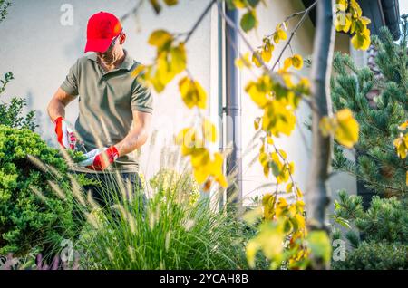 Un jardinier, vêtu d'un polo vert et d'un bonnet rouge, habilement tailler les buissons tout en étant entouré d'une végétation luxuriante et de feuilles jaune vif sous le soleil chaud Banque D'Images