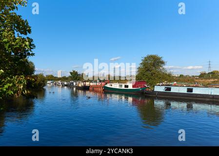 La rivière Lea sur les marais de Walthamstow en octobre, Londres Royaume-Uni Banque D'Images