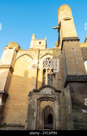 Cathédrale de Narbonne, dédiée à Saint-Just-et-Saint-Pasteur ou Saints Justus et Pasteur, Narbona, Occitanie, France Banque D'Images