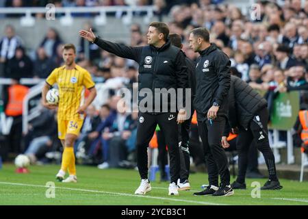 Brighton & Hove Albion Manager Fabian Hurzeler Gestures lors du Newcastle United FC vs Brighton & Hove Albion FC English premier League match à un moment donné James' Park, Newcastle, Angleterre, Royaume-Uni le 19 octobre 2024 Banque D'Images