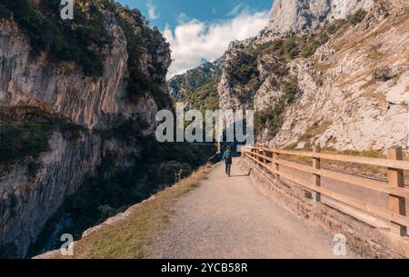 Un randonneur seul marche le long de la route de la rivière Cares à couper le souffle, entouré de falaises abruptes et de verdure luxuriante à Castilla y Leon, Picos de Europa Banque D'Images