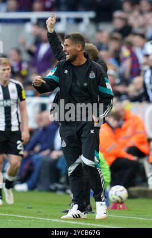 Newcastle, Royaume-Uni. 19 octobre 2024. Jason Tindall gestes lors du Newcastle United FC v Brighton & Hove Albion FC English premier League match à tous James' Park, Newcastle, Angleterre, Royaume-Uni le 19 octobre 2024 crédit : Every second Media/Alamy Live News Banque D'Images