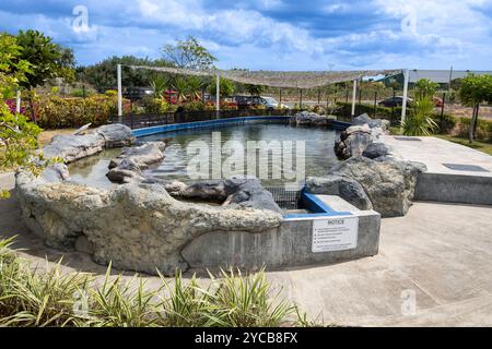 Salle d'exposition, aquarium, Odysseo Oceanarium Mauritius, show aquarium, grand aquarium, vieille ville, Port Louis, Océan Indien, île Maurice, Afrique, Banque D'Images