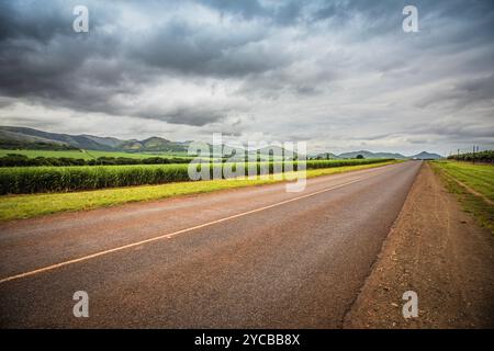 Route de campagne avec montagnes près du parc Maloti-Drakensberg, Lesotho. Banque D'Images