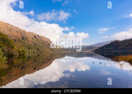 Réflexions dans le lac Llyn Dinas dans la vallée de Nant Gwynant depuis le chemin Cambrian Way. Nantgwynant, Beddgelert, Gwynedd, nord du pays de Galles, Royaume-Uni, Grande-Bretagne Banque D'Images