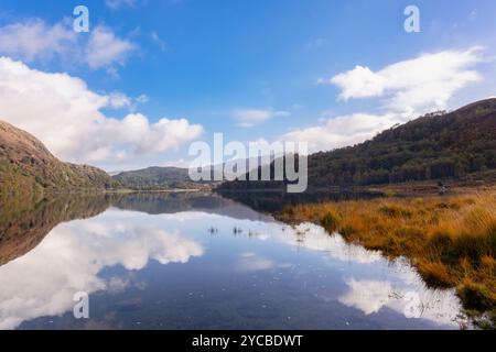 Réflexions dans le lac Llyn Dinas dans la vallée de Nant Gwynant depuis le chemin Cambrian Way. Nantgwynant, Beddgelert, Gwynedd, nord du pays de Galles, Royaume-Uni, Grande-Bretagne Banque D'Images