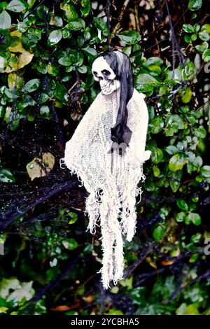 Une décoration d'Halloween accrochée à la haie devant une maison de banlieue à Londres. Banque D'Images