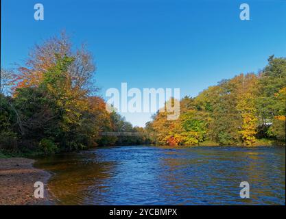 L'ancienne passerelle en bois désaffectée sur la rivière North Esk à Edzell dans l'Aberdeenshire, avec les feuilles des arbres qui tournent d'or. Banque D'Images