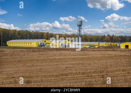 grand élévateur de grain avec plusieurs silos métalliques cylindriques, éléments structurels et un système complexe de tuyaux. Il se tient contre un ciel bleu, avec un f Banque D'Images