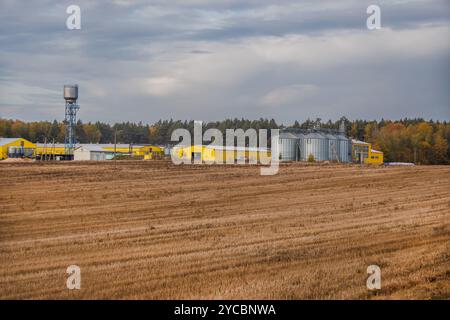 grand élévateur de grain avec plusieurs silos métalliques cylindriques, éléments structurels et un système complexe de tuyaux. Il se tient contre un ciel bleu, avec un f Banque D'Images