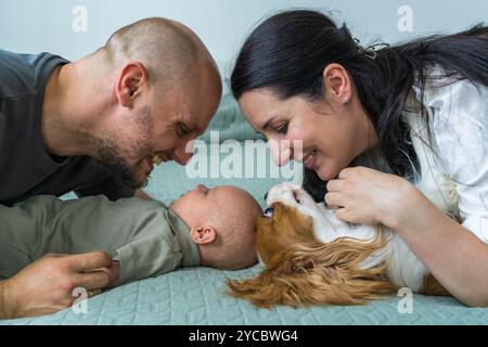 Mari et femme allongés sur le lit avec bébé nouveau-né, race de chien se trouve à côté de lui Cavalier King Charles Spaniel. Vue de dessus. Profiter du temps ensemble. Joyeux fami Banque D'Images