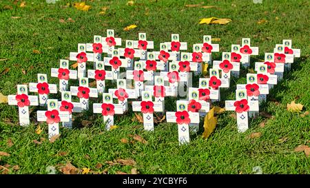 Glasgow, Écosse, Royaume-Uni. 22ndt octobre 2024. Jardin du souvenir sur la place george avant la célébration en novembre. Crédit Gerard Ferry /Alamy Live News Banque D'Images