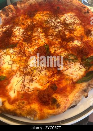 Pizza Diavola cuite au feu de bois de style napolitain avec mozzarella fraîche, salami épicé et fils de piment, avec une croûte aérienne parfaitement carbonisée Banque D'Images