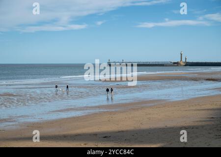 Whitby, Royaume-Uni. 22 octobre 2024. Les gens aiment marcher sur la plage de Whitby sur la côte du Yorkshire du Nord dans le soleil d'automne glorieux et les températures sur le milieu de l'adolescence centigrade. Après un week-end orageux et humide, le temps britannique est dans une période plus stable. Crédit : Julian Eales/Alamy Live News Banque D'Images