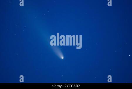 Lietzen, Allemagne. 16 octobre 2024. La comète Tsuchinshan-Atlas peut être vue dans le ciel nocturne au-dessus de Brandebourg. L'atlas de Tsuchinshan, également connu sous le nom de C/2023 A3, provient du nuage d'Oort, une collection d'objets situés à l'extrémité du système solaire, et se déplace vers le soleil depuis très longtemps. Crédit : Patrick Pleul/dpa/Alamy Live News Banque D'Images