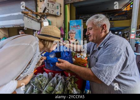 Le bazar Dezerter est le plus grand marché alimentaire de Tbilissi. Ici, vous pouvez magasiner avec tous vos sens, sentir les épices et goûter les produits. D’une superficie d’environ 2000 m², les petits étals extérieurs des commerçants proposent des fruits et légumes frais ainsi que des épices, des concombres marinés, du fromage et des spécialités géorgiennes traditionnelles. Mikheili Tsinamdzghvrishvili Street, Tbilissi, Tbilissi, Géorgie Banque D'Images