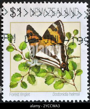 Timbre-poste oblitéré imprimé par la Nouvelle-Zélande, qui montre le papillon Forest Ringlet (Dodonodia helmsii), vers 1996. Banque D'Images