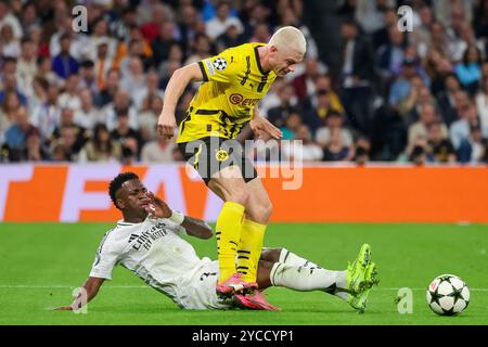 Madrid, Espagne. 22 octobre 2024. Julian Ryerson (Dortmund #26), Vinicius Junior (Madrid #7), ESP, Real Madrid v. Borussia Dortmund, Fussball, Champions-League, 3. Spieltag, saison 2024/2025, 22.10.2024 Foto : Eibner-Pressefoto/Joerg Niebergall crédit : dpa/Alamy Live News Banque D'Images