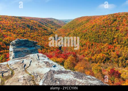 Vue depuis Lindy point surplombe Blackwater Canyon dans le parc national de Blackwater Falls. Davis. Virginie occidentale Banque D'Images