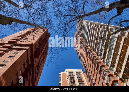 Vue de dessous de trois hauts bâtiments résidentiels en briques avec balcons sous un ciel bleu clair avec des arbres d'automne encadrant le sommet de la composition Banque D'Images