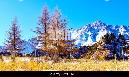 ZHANGYE, CHINE - 22 OCTOBRE 2024 - vue des montagnes Qilian après la neige dans la ville de Zhangye, province du Gansu, Chine, 22 octobre 2024. Banque D'Images