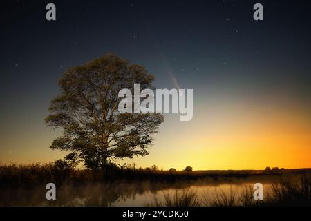 Comète Tsuchinshan-Atlas à côté d'un hackberry commun au bord d'un petit étang un soir d'octobre. Couleurs chaudes et premier plan bien éclairé Banque D'Images