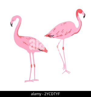 Ensemble de flamant rose dans un style minimaliste. Illustration vectorielle. Illustration de Vecteur