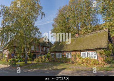 Communauté Probsteierhagen, ancienne auberge Plagmann, maison à colombages avec toit de chaume, arbres en feuilles d'automne, paysage Probstei, Schleswig-Holstein Banque D'Images