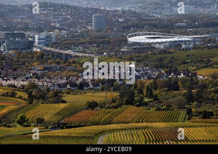 Vue sur MHPArena, MHP Arena, chaudière à gaz, siège social Daimler, musée Mercedes-Benz, B14, Stuttgart, sur vignoble, vignes, vignes, vigne Banque D'Images