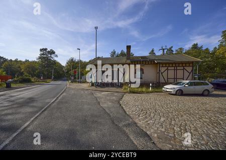 Gare de Ferch-Lienewitz avec route et passage à niveau à Schwielowsee, Potsdam-Mittelmark, Brandebourg, Allemagne, Europe Banque D'Images