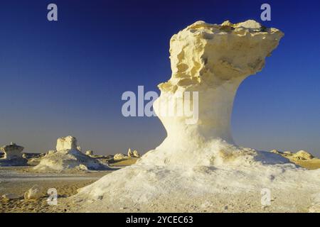 Rocher dans le désert blanc, champignon porcini, formation de champignons, Egypte, Afrique Banque D'Images