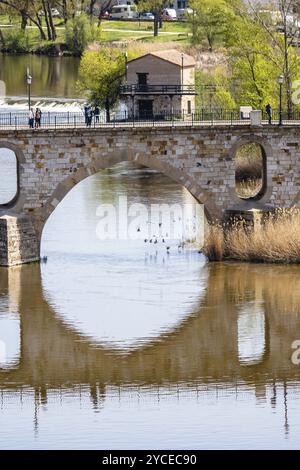 Zamora, 7 avril 2023 : vue panoramique sur le fleuve Douro et le Puente de Piedra, pont en pierre, avec réflexions sur l'eau. Téléobjectif Banque D'Images